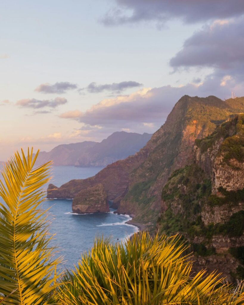 olivetravel-azores